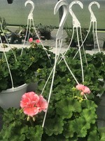FFA Annual Plant Sale